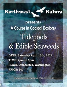 Coast Ecology - Tidepools and Edible Seaweeds (April) with Northwest Natura @ Anacortes, WA