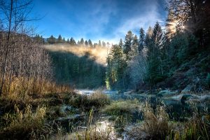 WildLens of Whatcom Land Trust Nature Photography Workshop