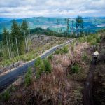 E-bikes-North-Slope-and-Thurston-County-E-Bikers-Capitol-Forest-Trail