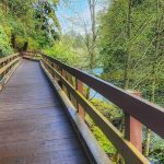 Walking-Trail-at-Tumwater-Falls-Park-in-Washington-State