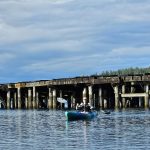 Woodard Bay Kayaking Olympia Lacey (16)