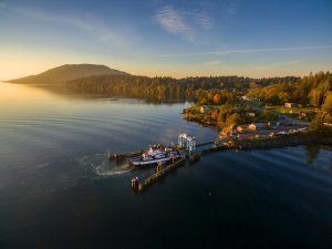 Yummy Lummi Bike Tour @ Lummi Island