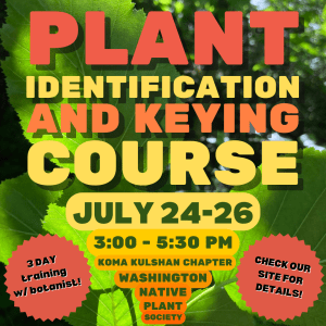 Plant Identification and Keying Course @ Koma Kulshan Chapter of the Washington Native Plant Society