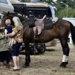 Rainier-Bluegrass-Festival-2016