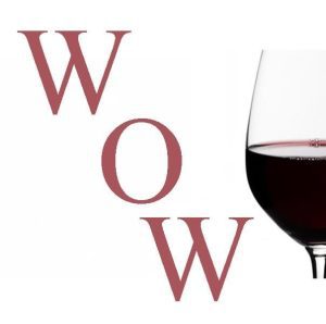 Sip, Savor, Support! Wines of Whatcom benefitting Blue Skies for Children @ Bellewood Farms & Distillery