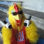Bellingham Mascots Bellingham Bells Cluck- David Cohn credit