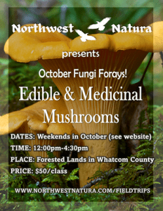 Edible & Medicinal Mushrooms with Northwest Natura @ Whatcom County