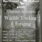 small Wildlife Tracking and Foraging