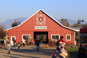 Stoney Ridge Farm Fall Festival @ Stoney Ridge Farm