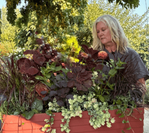 Winter Beauty: Crafting Showstopping Container Gardens for the Cold Season @ Whatcom Museum
