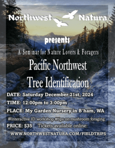 PNW Tree Identification: A Seminar for Nature Lovers & Foragers with Northwest Natura @ My Garden Nursery