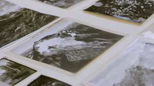 Virtual Field Trip: North Cascades Revegetation Over the Years @ Virtual Webinar