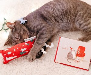 Photos with Santa @ NEKO Cat Cafe: Bellingham