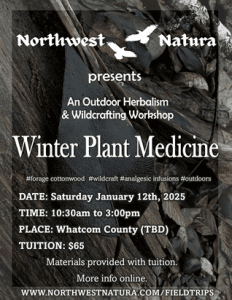 Winter Plant Medicine Workshop with Northwest Natura - Cottonwood - Painkillers @ Maple Falls
