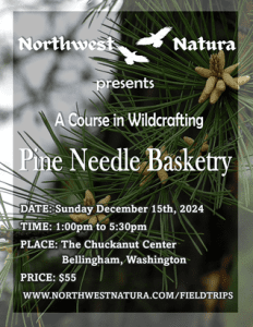 Pine Needle Basketry - A Wildcrafter's Workshop with Northwest Natura @ Chuckanut Center