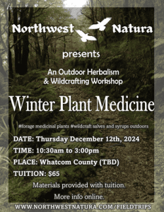 Winter Plant Medicine - Immunity Boosters with Northwest Natura @ Whatcom County
