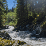 South_Fork_Nooksack-33_med