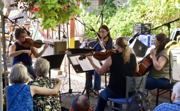 Bellingham Symphony Orchestra