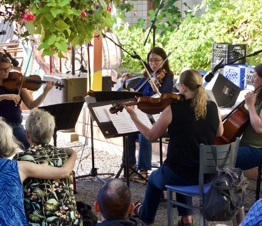 Bellingham Symphony Orchestra