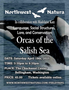 Orcas of the Salish Sea with Northwest Natura & Madelaine Katz @ Chuckanut Center