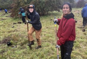 NSEA Terrell Creek Tree Planting @ 7039 Jackson Rd, Blaine, WA 98230