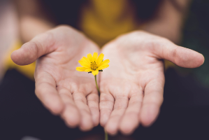 Power of Hope: The Science of Personal & Collective Thriving