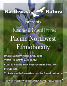 Ethnobotany Tour at Padilla Bay Reserve with Northwest Natura @ Padilla Bay
