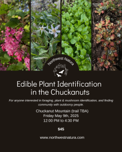 Edible Plant Identification in the Chuckanuts with Northwest Natura @ Chuckanut Mountain (Trail TBD)