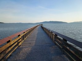 Bellingham Little Squalicum Pier