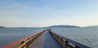 Bellingham Little Squalicum Pier