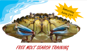 Molt Search “On-the-Beach” Training @ Semiahmoo Park