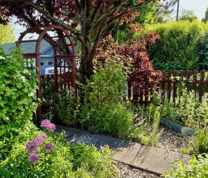 Whatcom Horticultural Society 35th Annual Private Garden Tour @ Check our website for participating locations