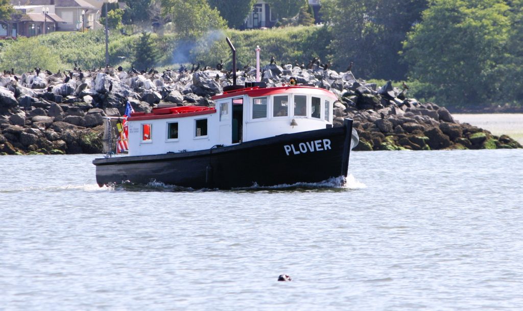 MV Plover ferry