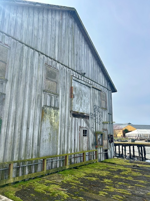 MV Plover ferry
