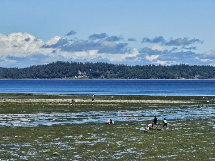 People on the shore at Tolmie State Beach during low tide, with an island in the distance and clouds in the sky