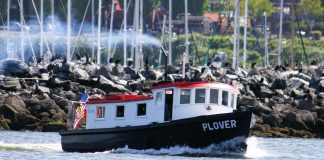 MV Plover ferry