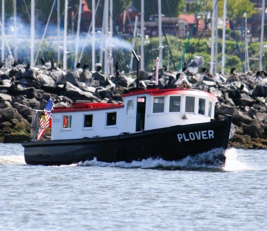MV Plover ferry