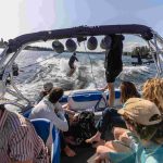 Whatcom Wake Sports boat