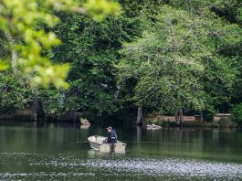 a man fishes in a small boat on Lake Sylvia, trees cover the bank on the other side