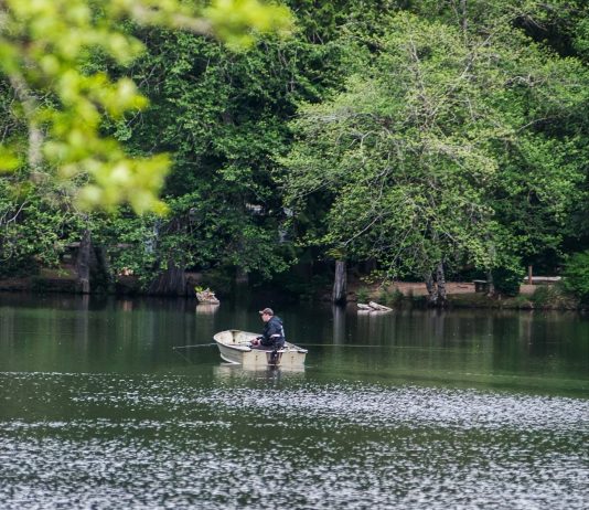 a man fishes in a small boat on Lake Sylvia, trees cover the bank on the other side