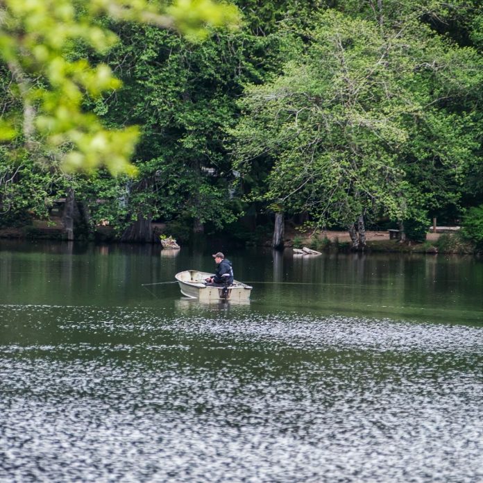 a man fishes in a small boat on Lake Sylvia, trees cover the bank on the other side