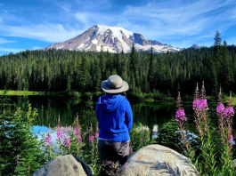 First Fed Photo Contest