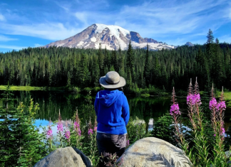 First Fed Photo Contest