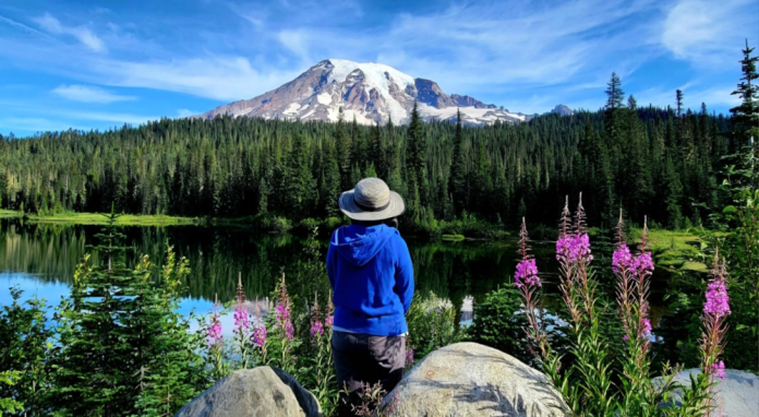 First Fed Photo Contest