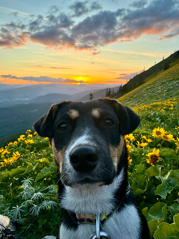 First Fed Photo Contest