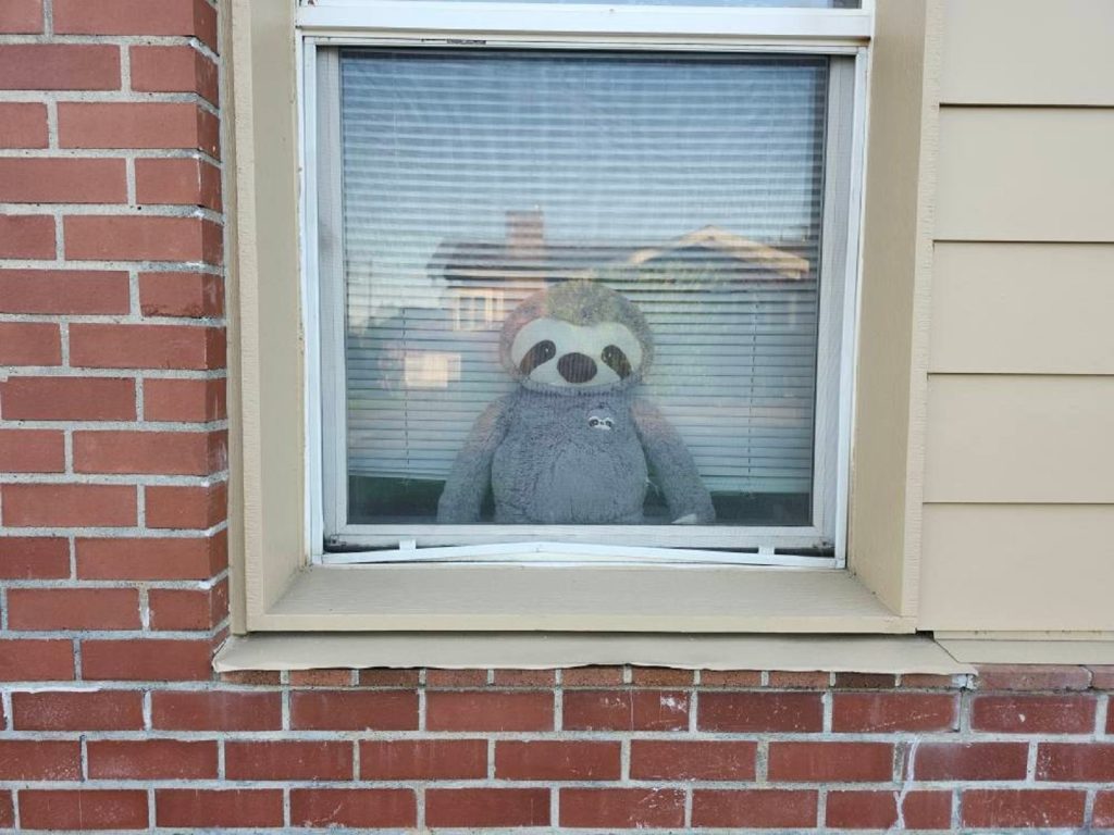 Bellingham animal mascots