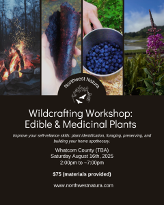 Wildcrafting Workshop: Edible & Medicinal Plants with Northwest Natura @ Northwest Natura land