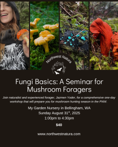 Fungi Basics: A Seminar for Mushroom Foragers with Northwest Natura @ My Garden Nursery