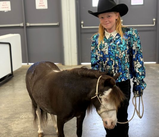 A little girl in a cowboy hat and sequin blue, teal and silver western show shirt standing with a black miniature horse with a white face and white legs at the Grays Harbor County Fairgrounds