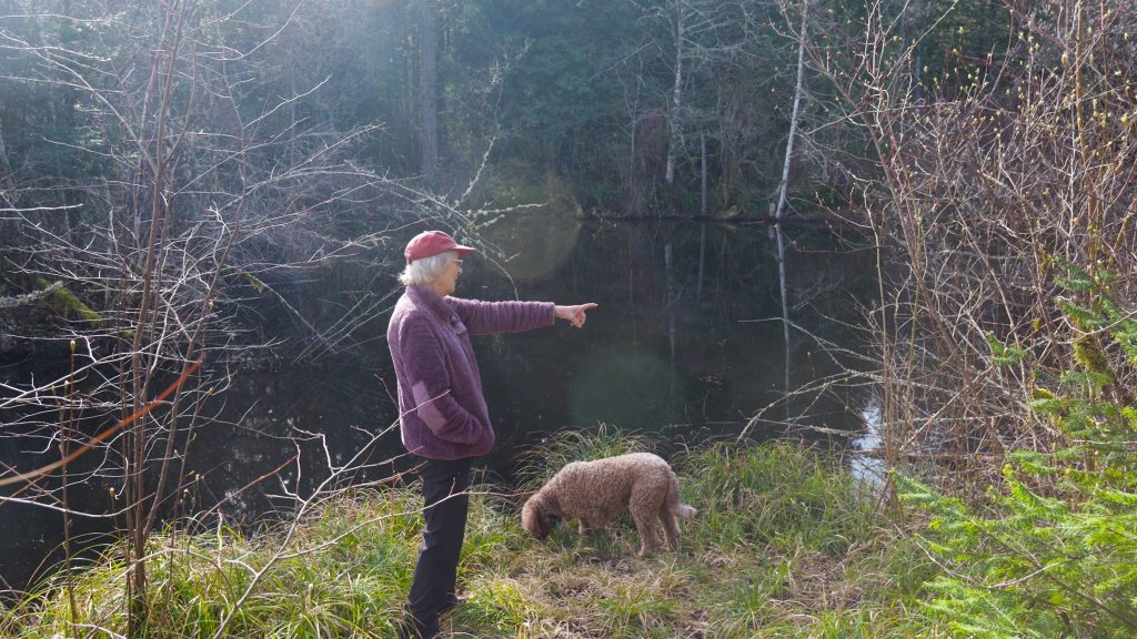 Agate Pond Preserve